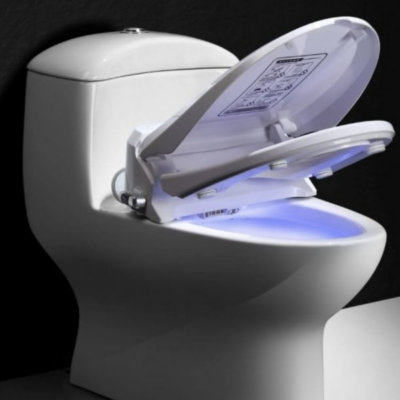 Japanischer Dusch-WC-Sitz Luxe Silver V2 – TopToilet (Copie)